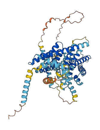 SLC9A8 3D structure