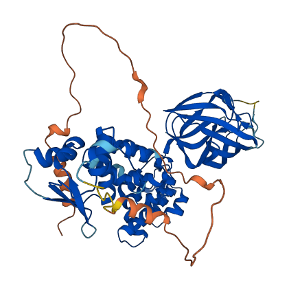 BTBD3 3D structure