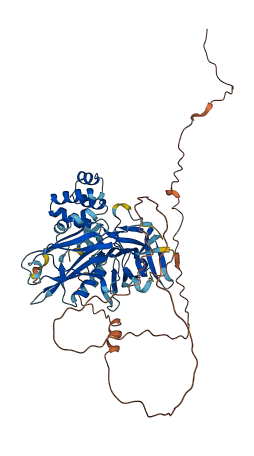 CARD8 3D structure