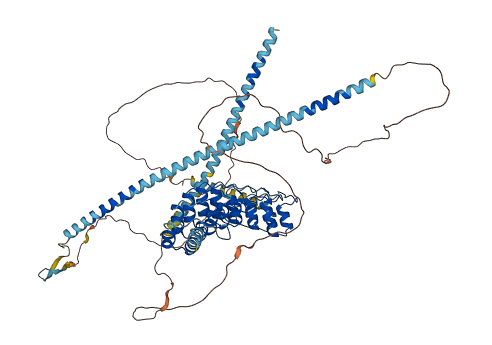 ANKRD6 3D structure