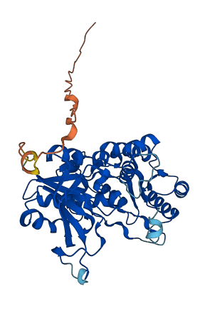 POFUT2 3D structure