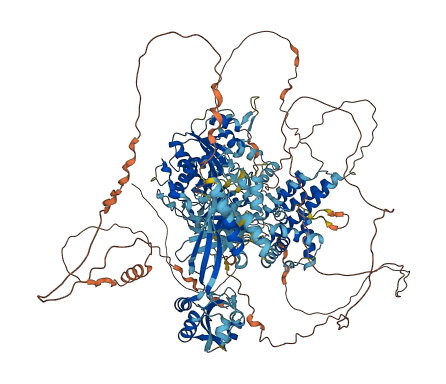 SBNO2 3D structure
