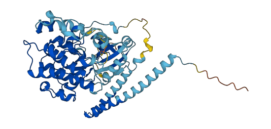 STK38L 3D structure