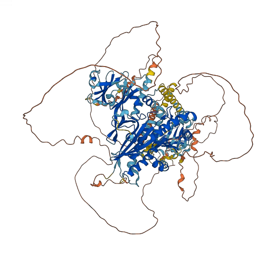 INPP5F 3D structure