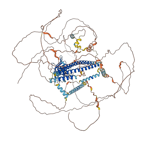 PLEKHA6 3D structure