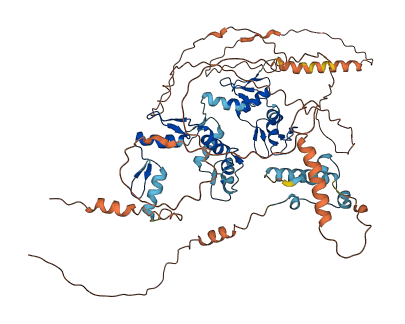ZNF510 3D structure