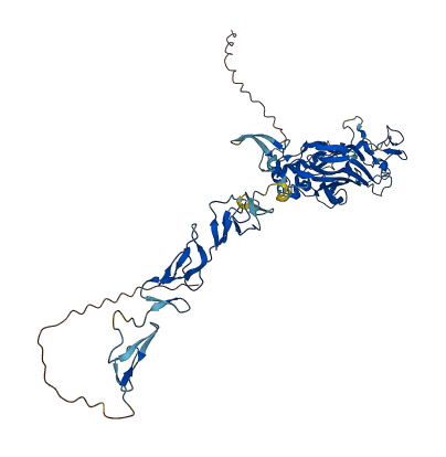 NTNG1 3D structure