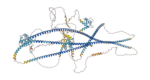 NINL 3D structure