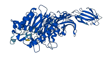 PADI2 3D structure