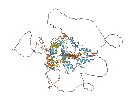 ZBTB1 3D structure