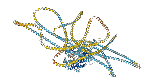MYH15 3D structure