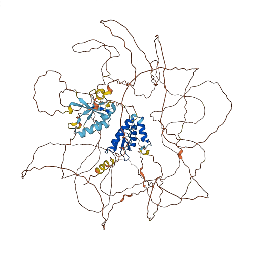 R3HDM2 3D structure