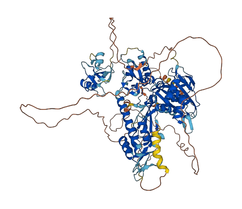 USP20 3D structure