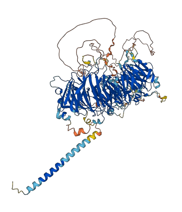 STXBP5L 3D structure