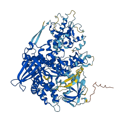 DIS3 3D structure