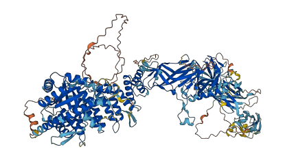 TRAPPC8 3D structure