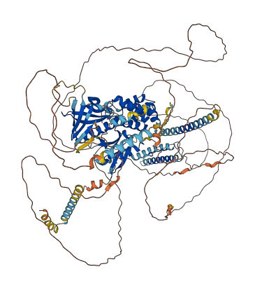 FRMD4B 3D structure