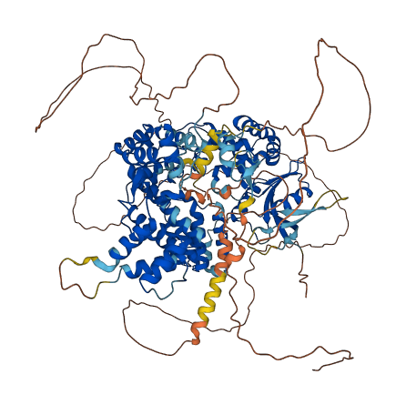 FAN1 3D structure