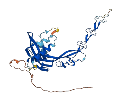 SSUH2 3D structure