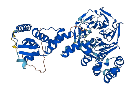 KLHL20 3D structure