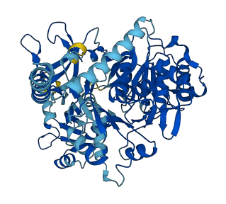SLC27A6 3D structure
