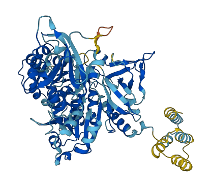 SLC27A5 3D structure