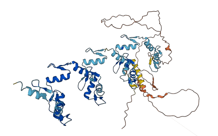 ZNF256 3D structure