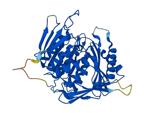 RCL1 3D structure