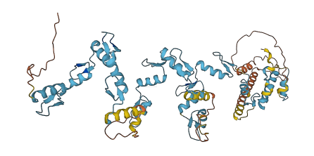ZNF257 3D structure