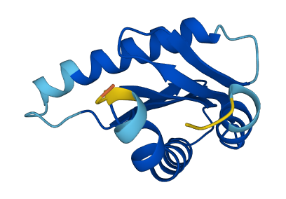 LAMTOR2 3D structure