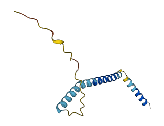 COA3 3D structure