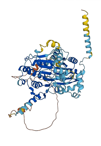 DDX52 3D structure