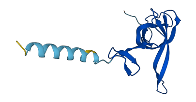 MRPS17 3D structure