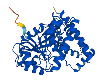 CRYL1 3D structure