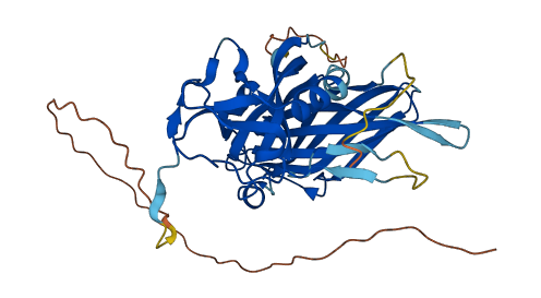 POLDIP2 3D structure