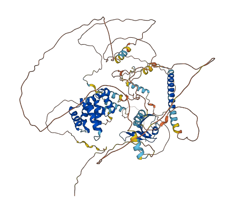 AXIN2 3D structure