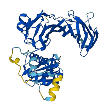 AP3M1 3D structure