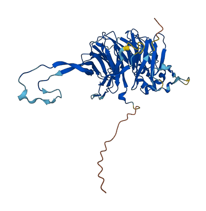 PPP2R2C 3D structure