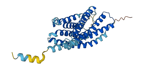 GPR55 3D structure