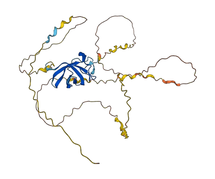 YBX2 3D structure