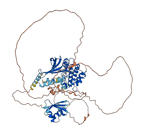 MAP3K2 3D structure