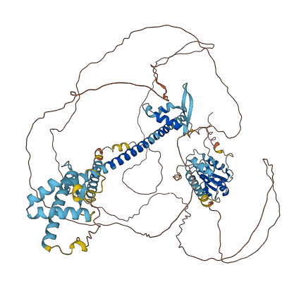 LEMD3 3D structure