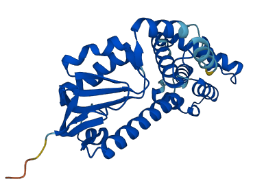 C15orf41 3D structure