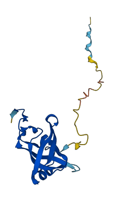 CARHSP1 3D structure