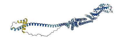 COG6 3D structure