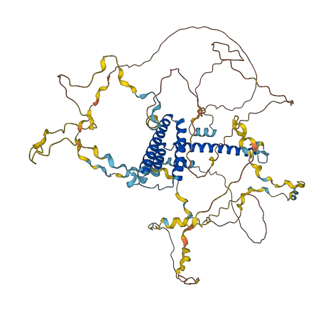 WBP11 3D structure