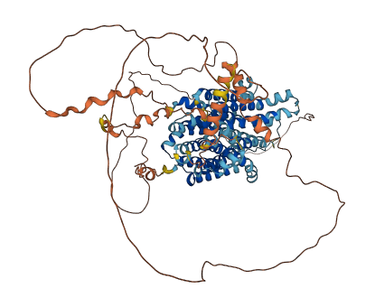 SLC45A1 3D structure