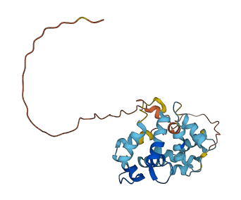 KCNIP3 3D structure