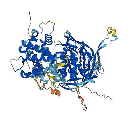 MED16 3D structure