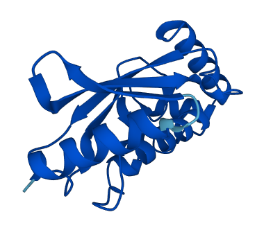 UBE2D4 3D structure